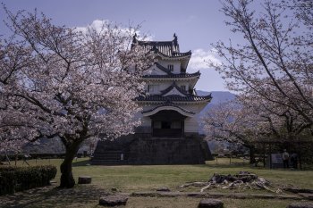 宇和島城（桜）K2