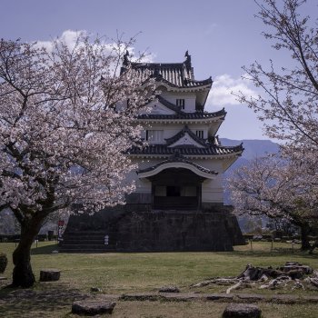 宇和島城（桜）K2