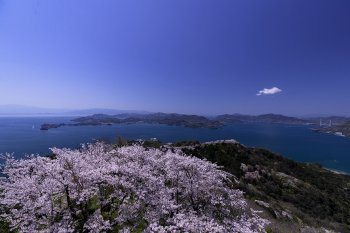 積善山（桜）K1