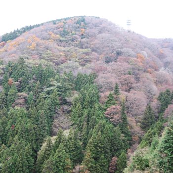 高縄山