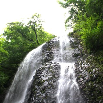 白猪の滝