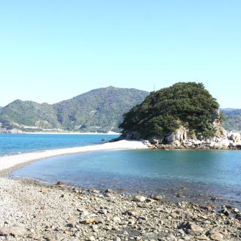 大島