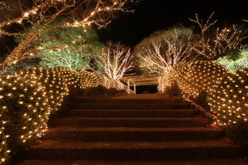 朝霧湖野村ダム