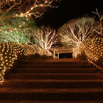 朝霧湖野村ダム