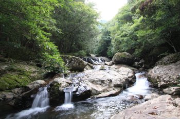 滑床渓谷・鬼ヶ城山系