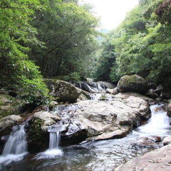 滑床渓谷・鬼ヶ城山系