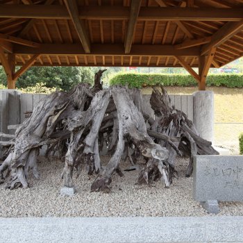 愛南町一本松郷土資料館